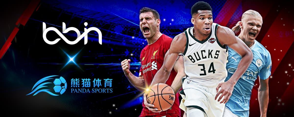 版图和多样